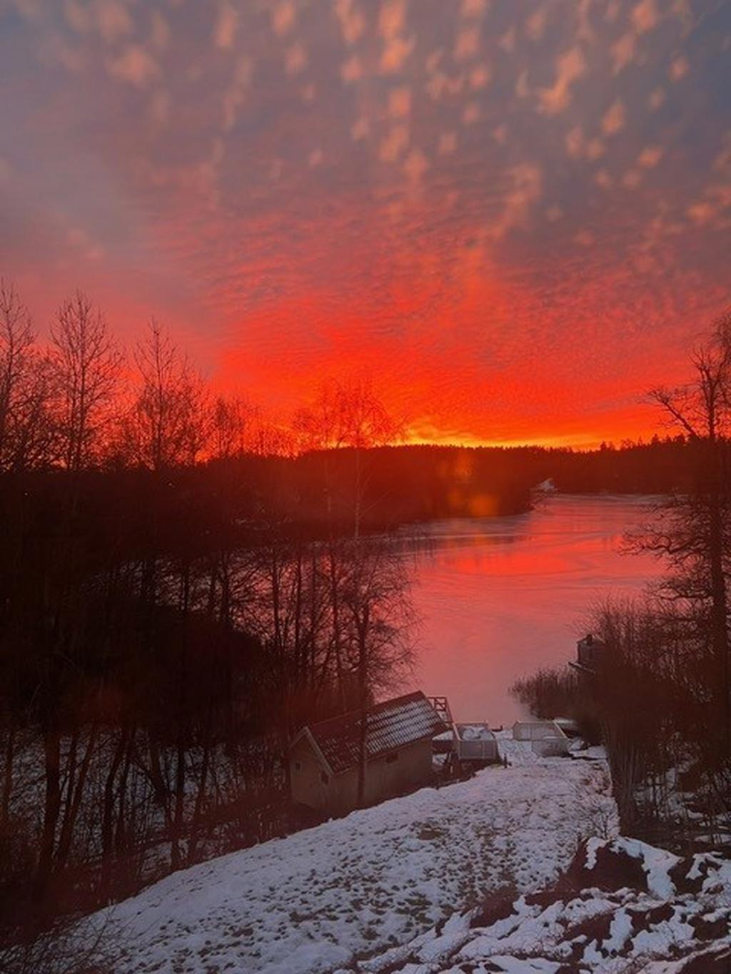 Säljarens bild