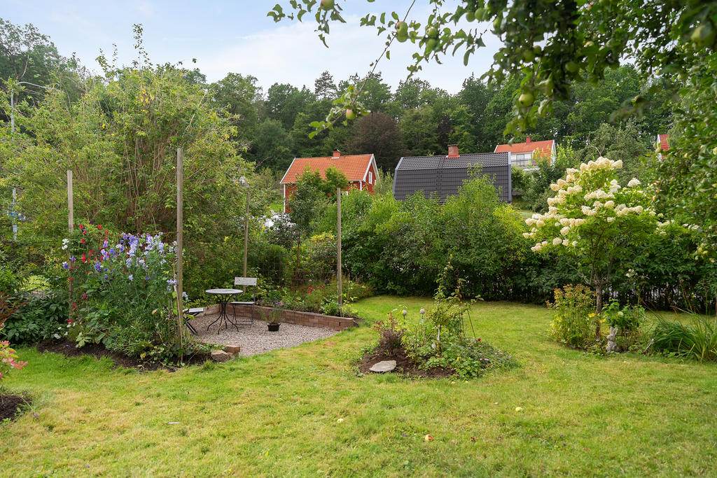 Grönskande trädgård