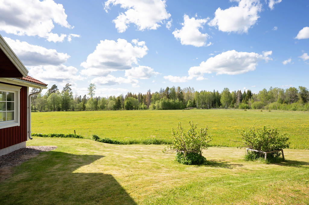 Bättre läge får man leta efter