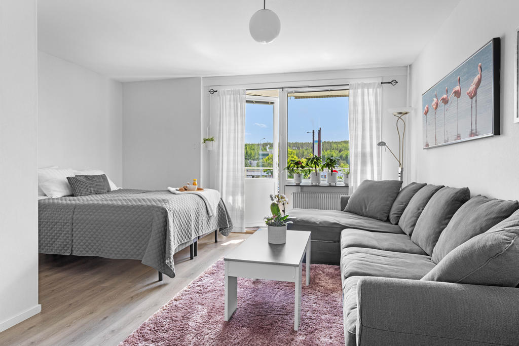 Plats för både soffa och säng i allrummet