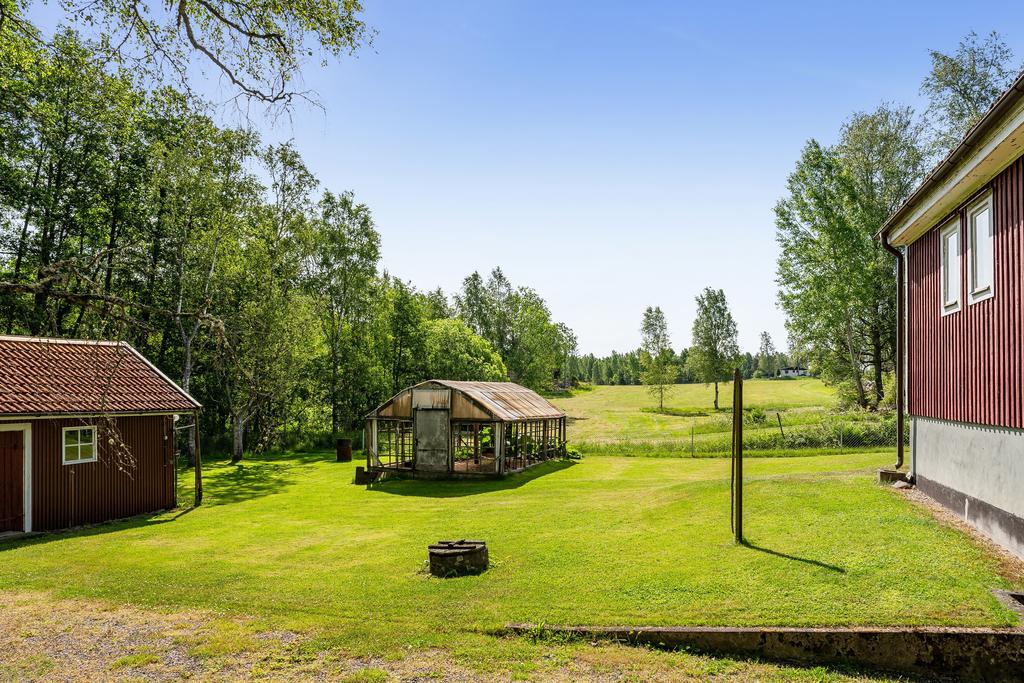 Växthus i behov av nytt glas