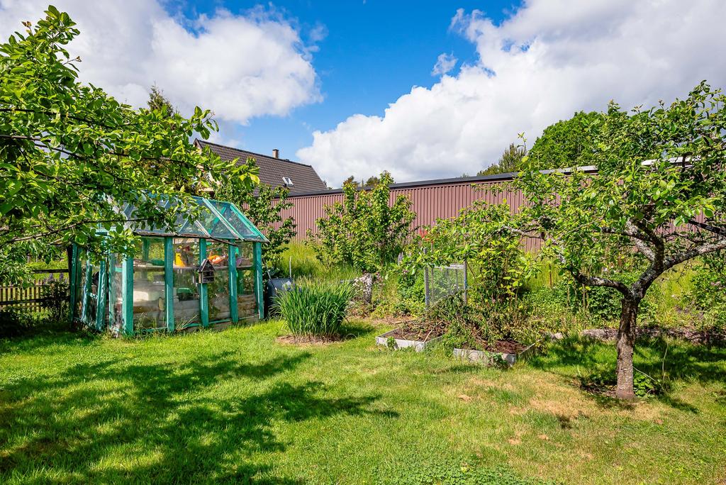 Liten trädgård på baksidan
