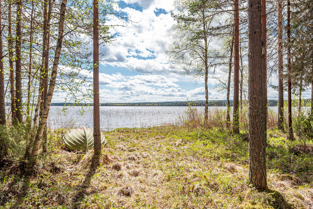 Härliga Mosjön!