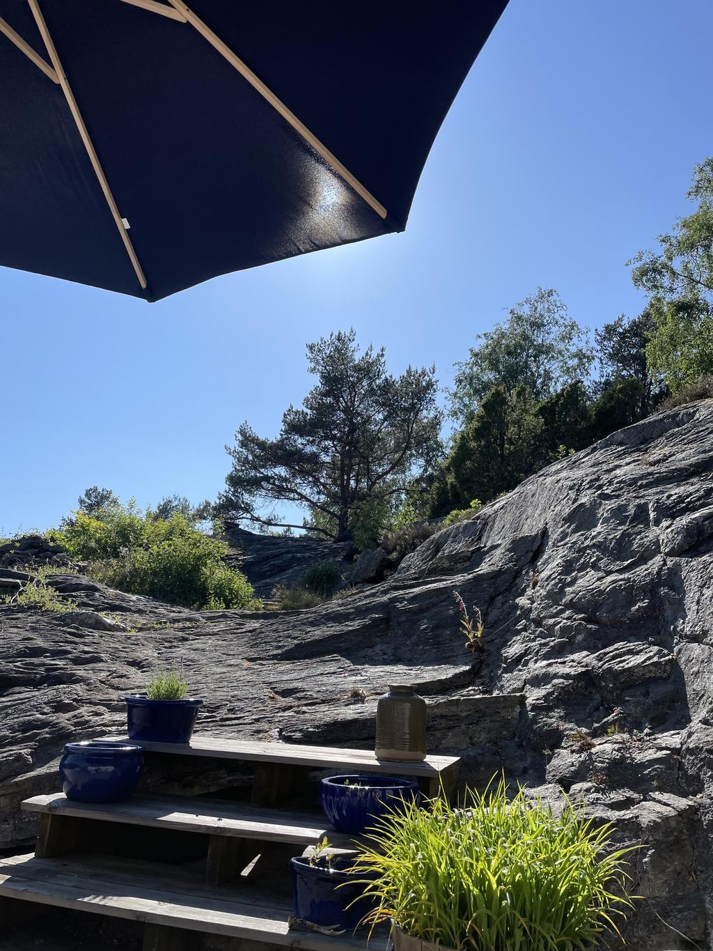 Säljarens egna bilder
