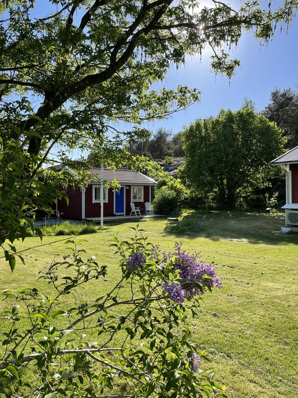 Säljarens egna bilder