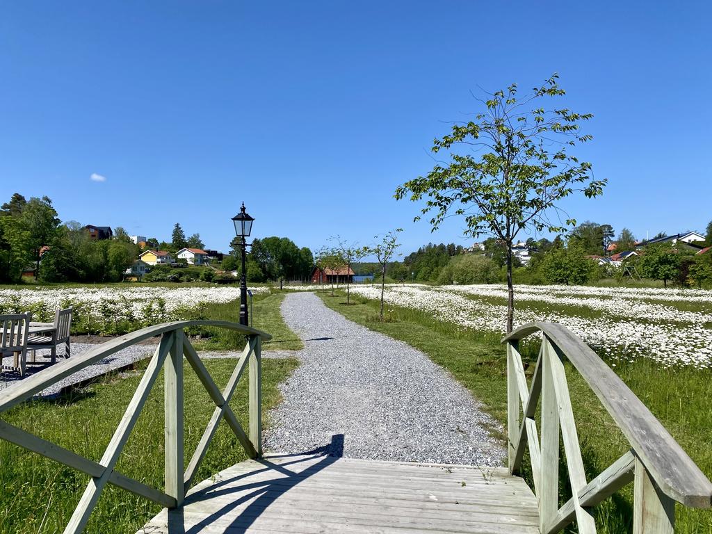 Promenadväg i Älvnäs