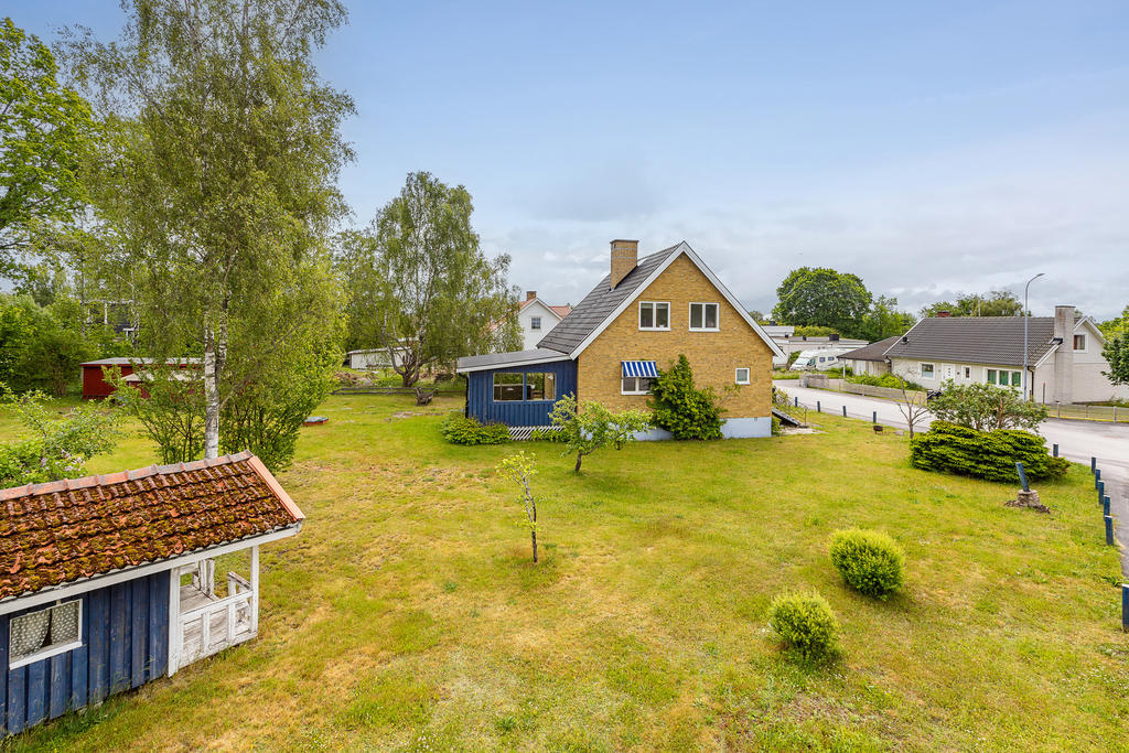 Stor trädgård