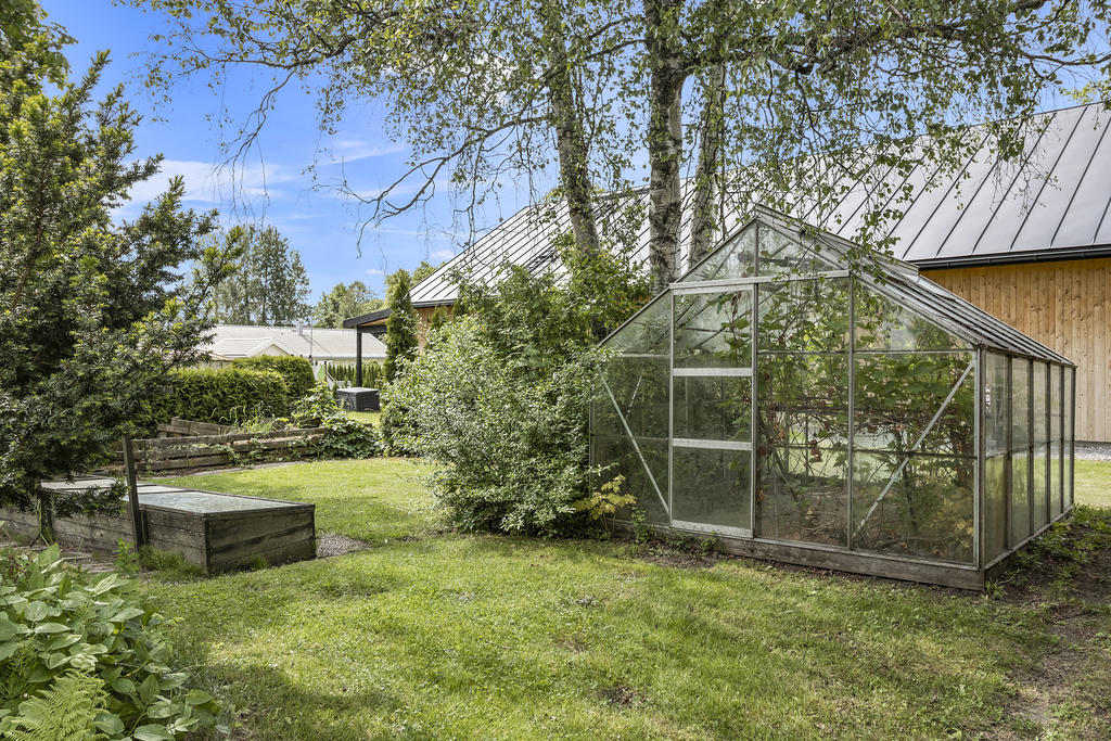 Trädgård med växthus