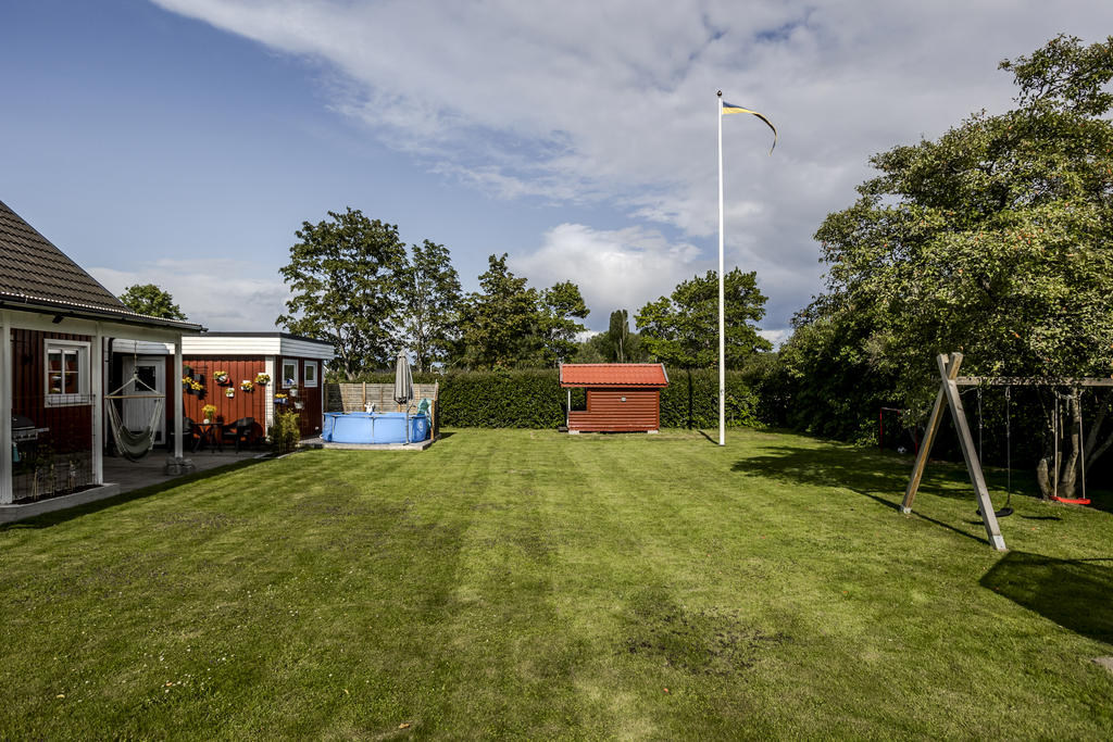 Trädgården