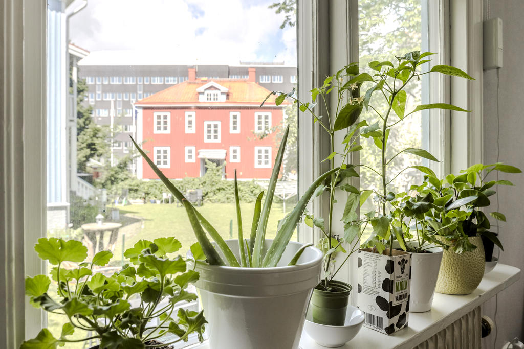 Utsikt mot CCC