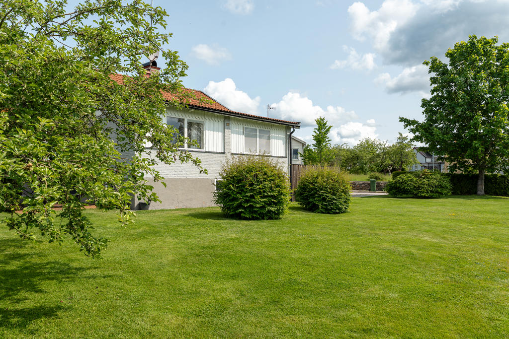 Trädgård