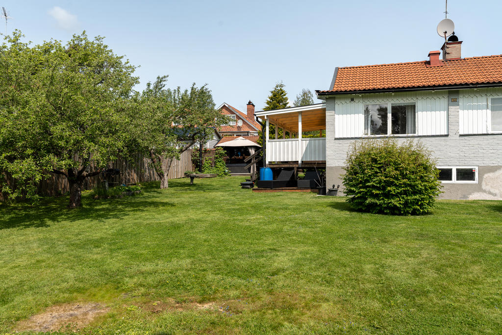 Trädgård