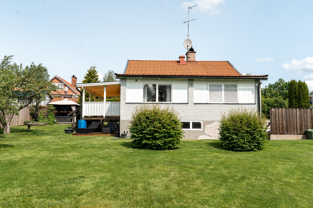 Trädgård