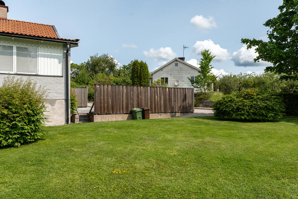 Trädgård