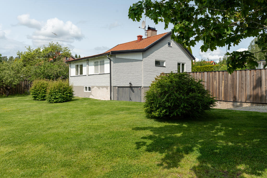 Trädgård
