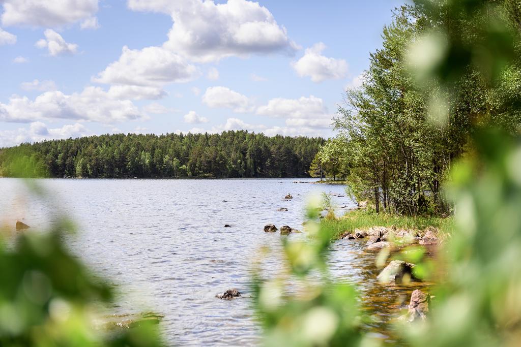 Utsikt från stranden