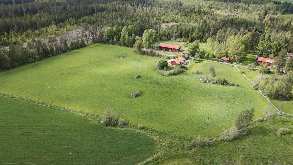 Fastighet om 4,5 ha