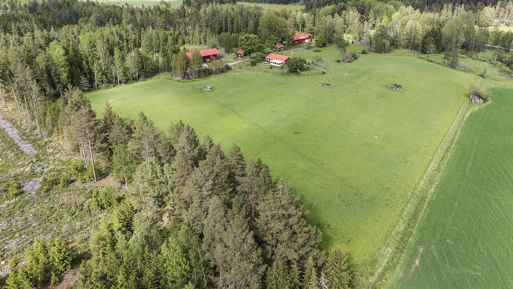 Fina betesmarker 