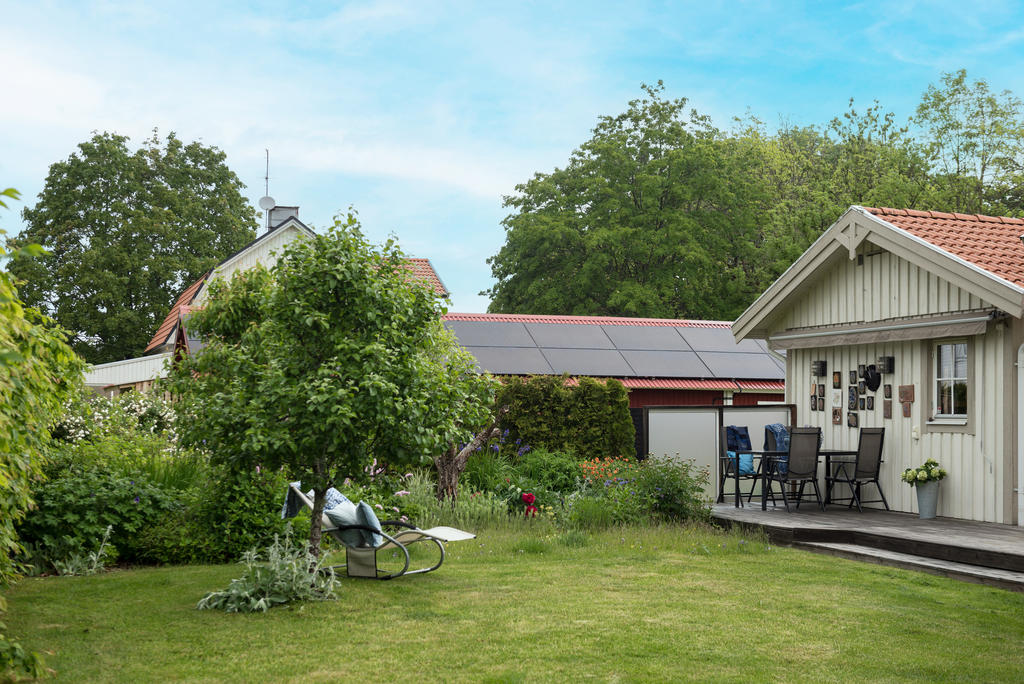 Trädgård. 