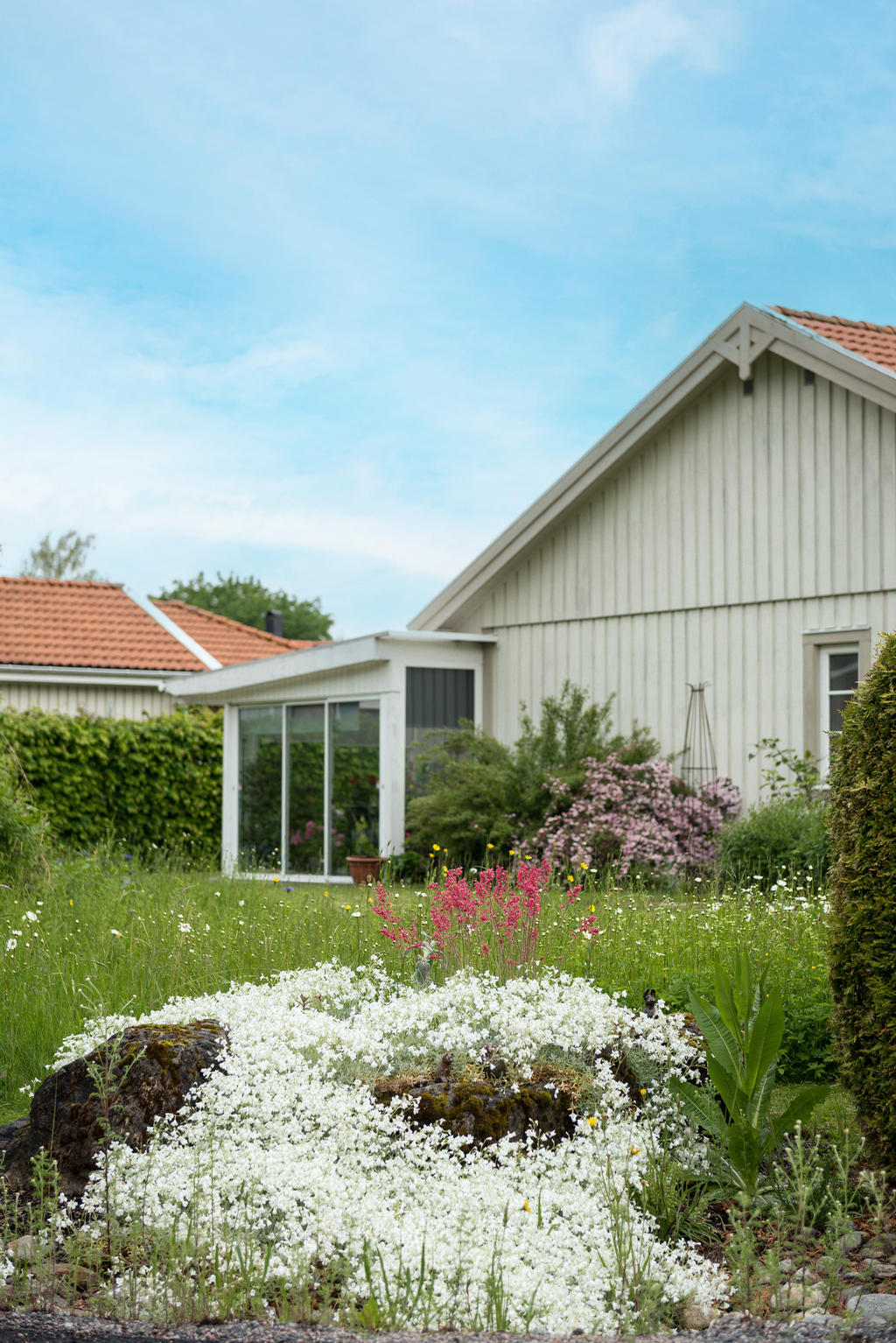 Trädgård. 