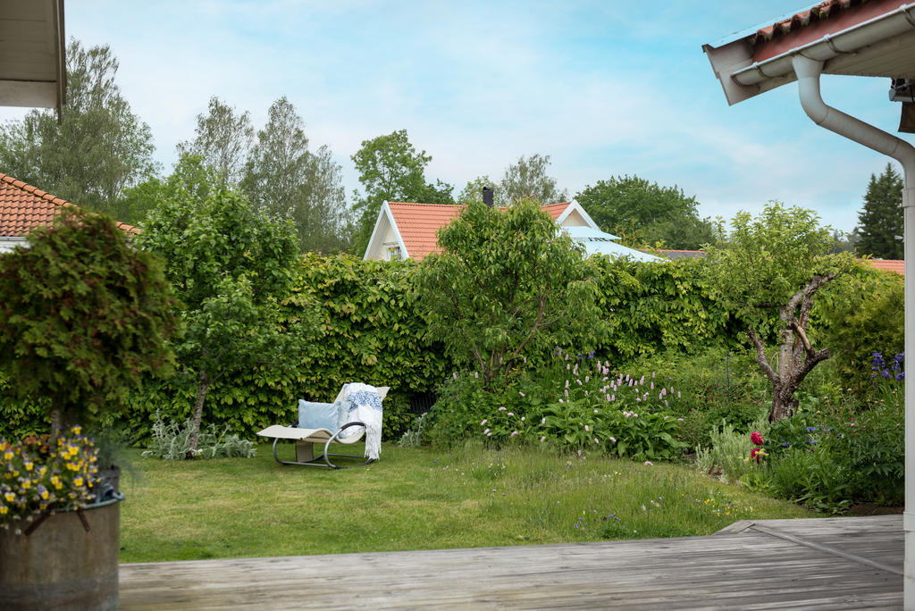 Trädgård. 