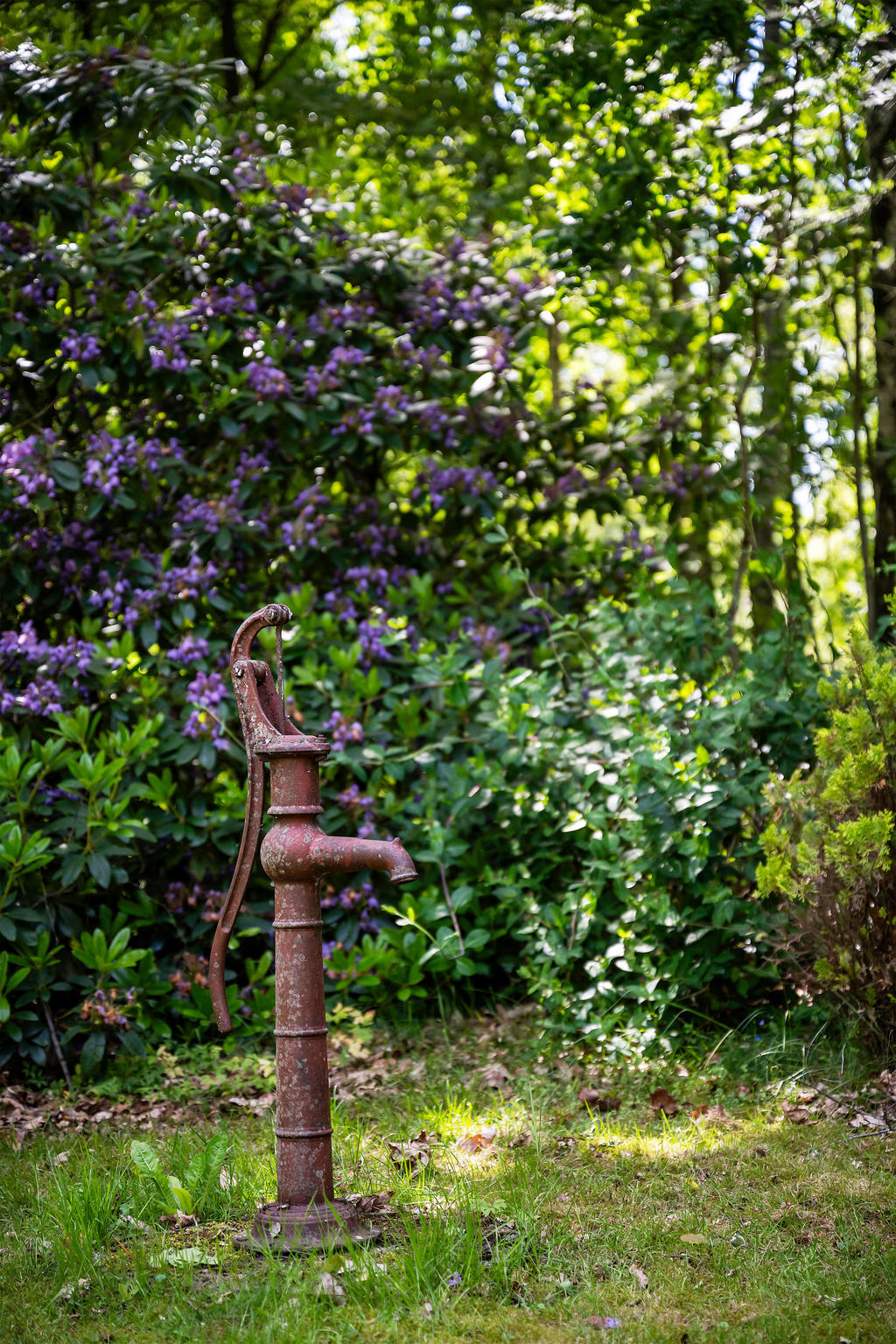 Detaljbild trädgård