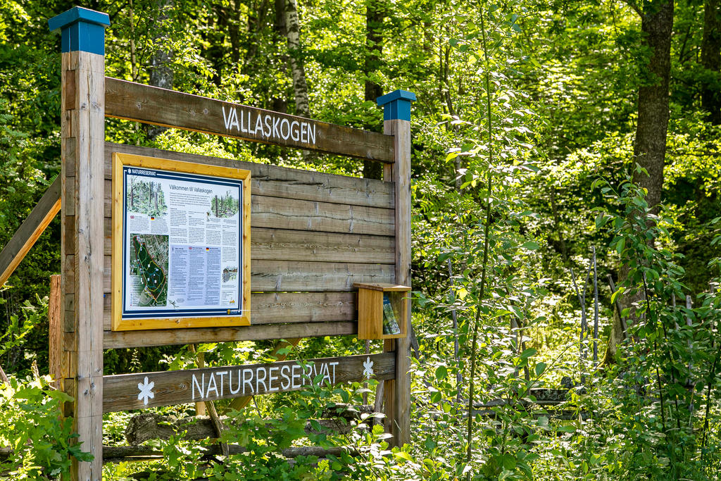 Närhet till Vallaskogen