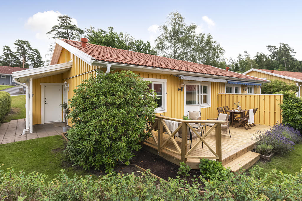 Rododendron står i vacker blom på våren och ger bra insynsskydd.