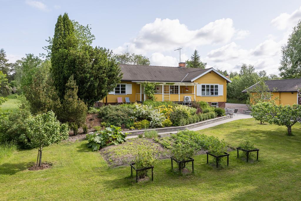 Trädgård på husets baksida