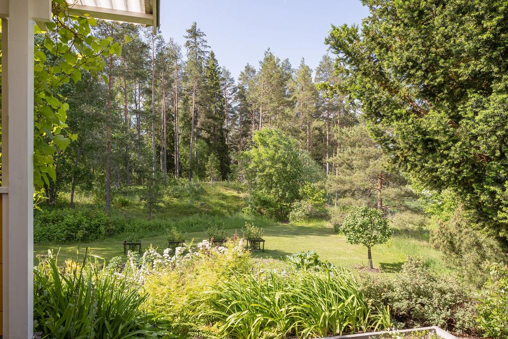 Trädgård på husets baksida