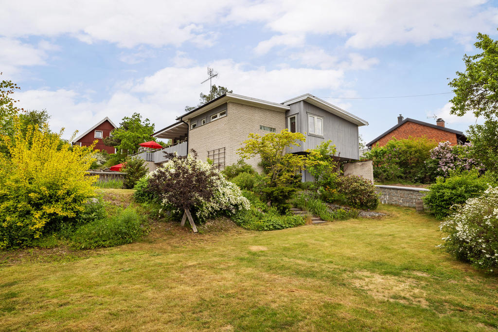Trädgård