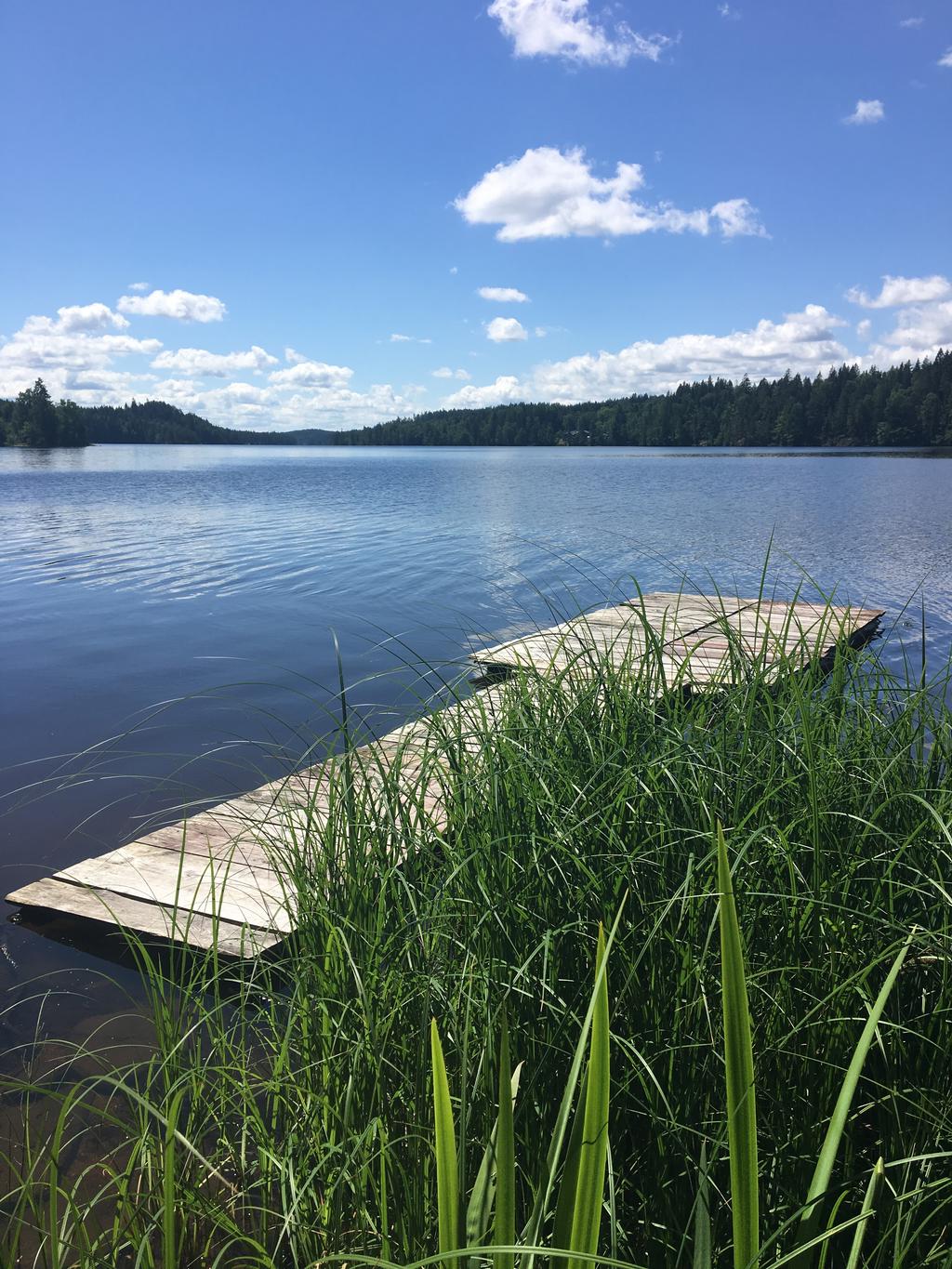 Säljarens sommarbilder