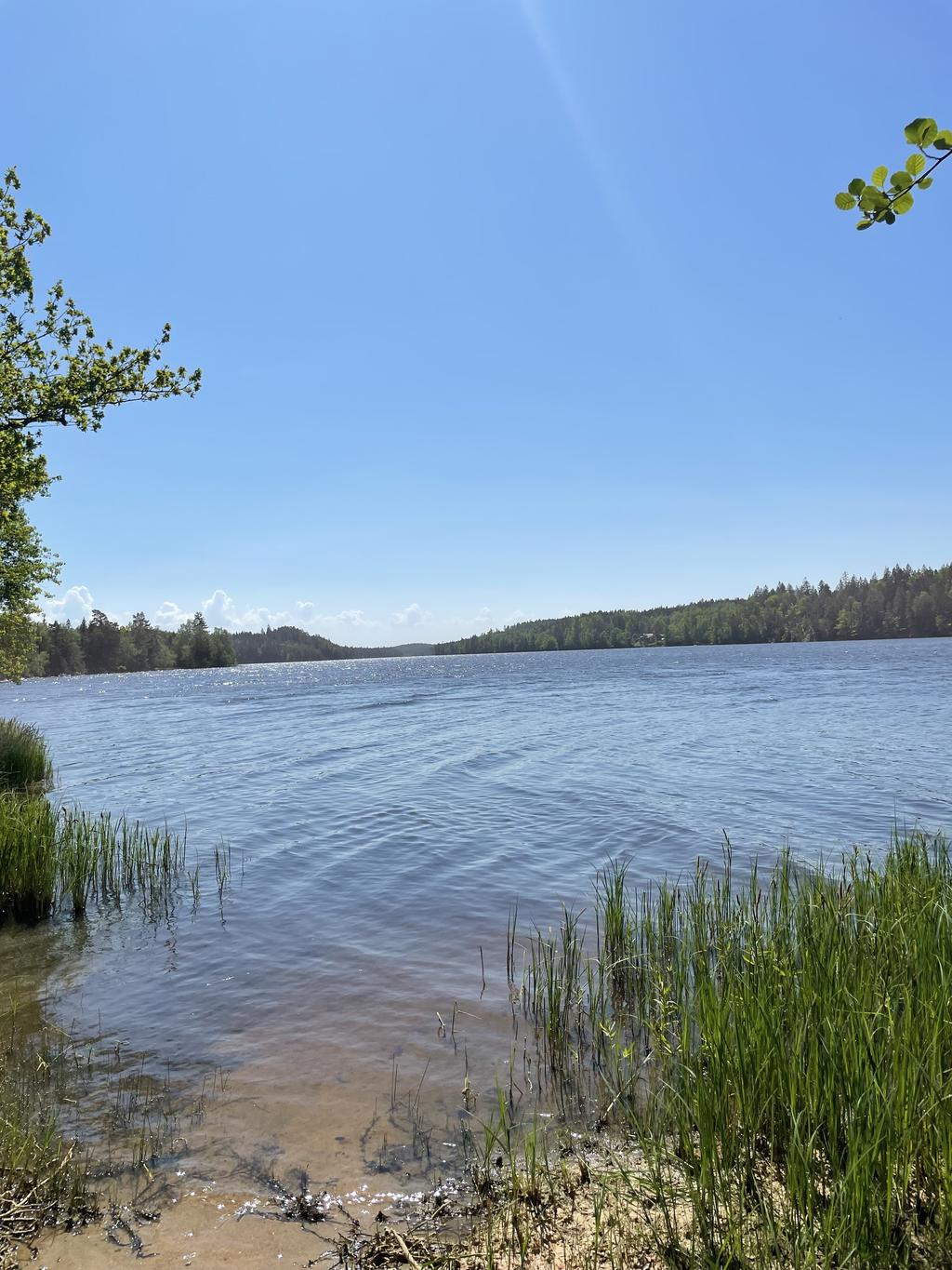 Säljarens sommarbilder