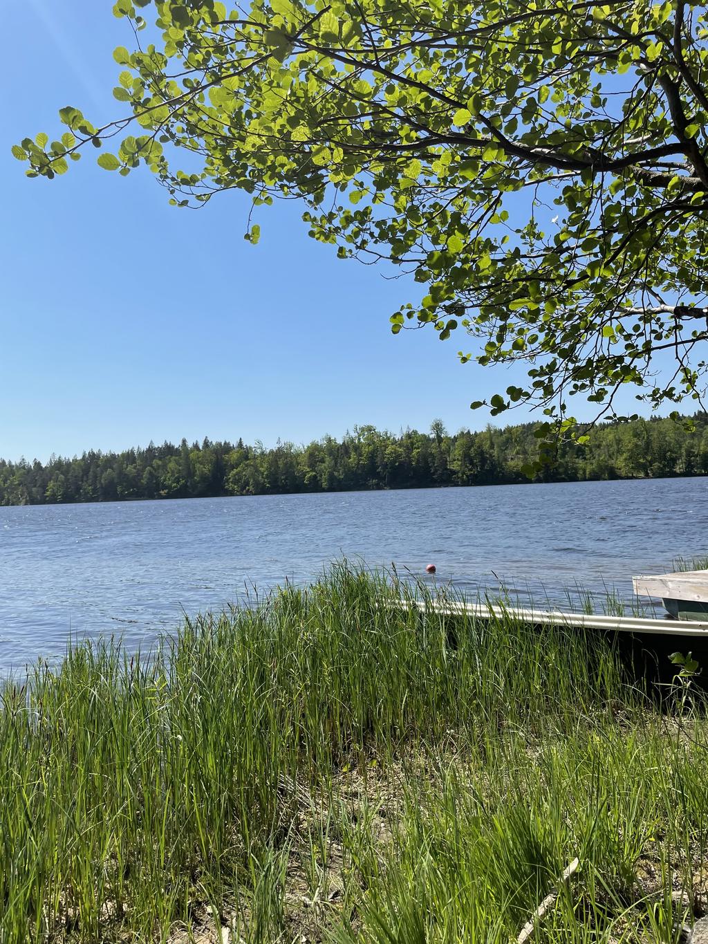 Säljarens sommarbilder