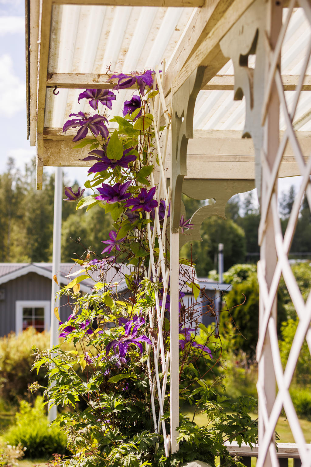 Detaljbild trädgård