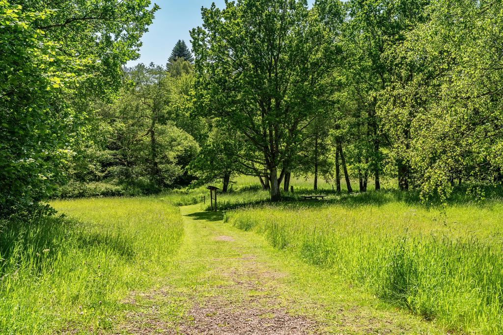 Med naturreservatet som granne!
