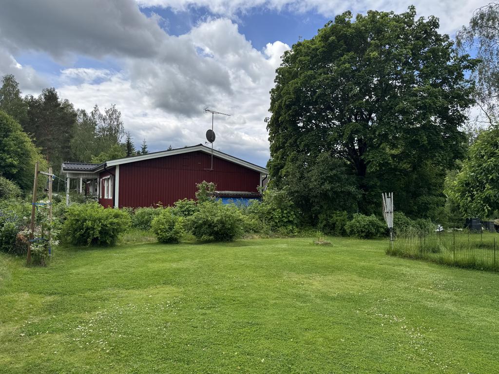 Trädgård