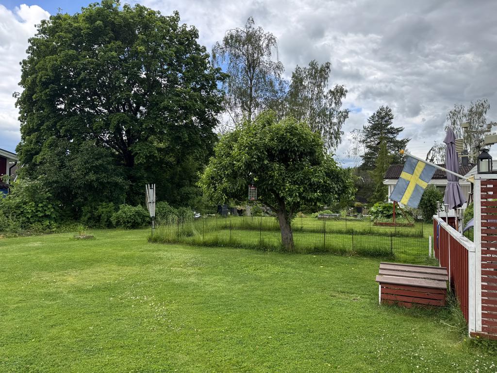 Trädgård