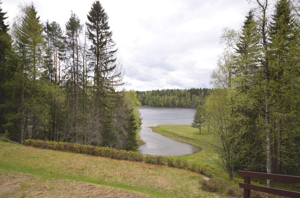 Utsiktsbild från stugan