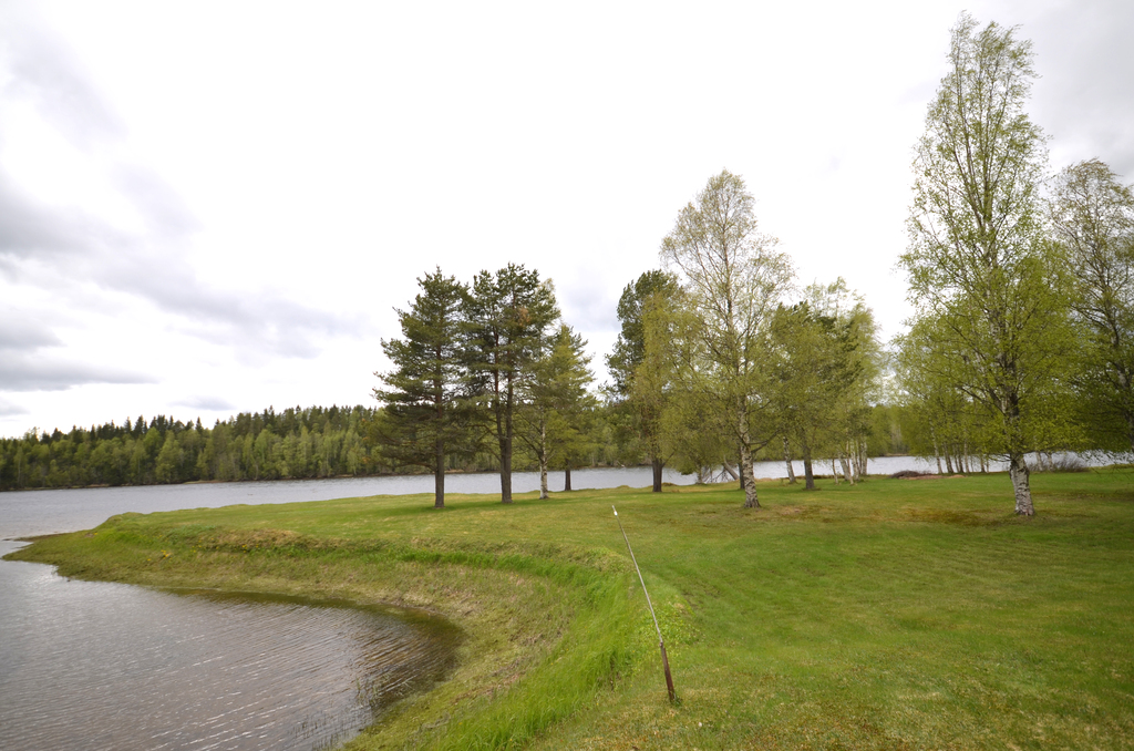 Strandvy, badvänlig sandrik botten