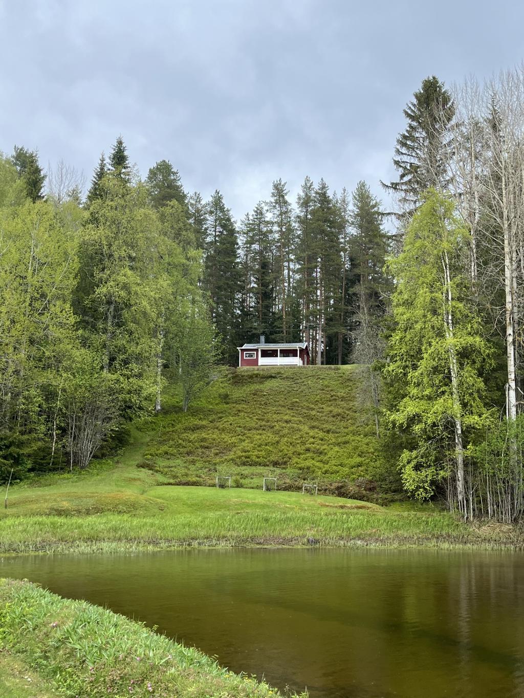 Stugbild från udden vid älven