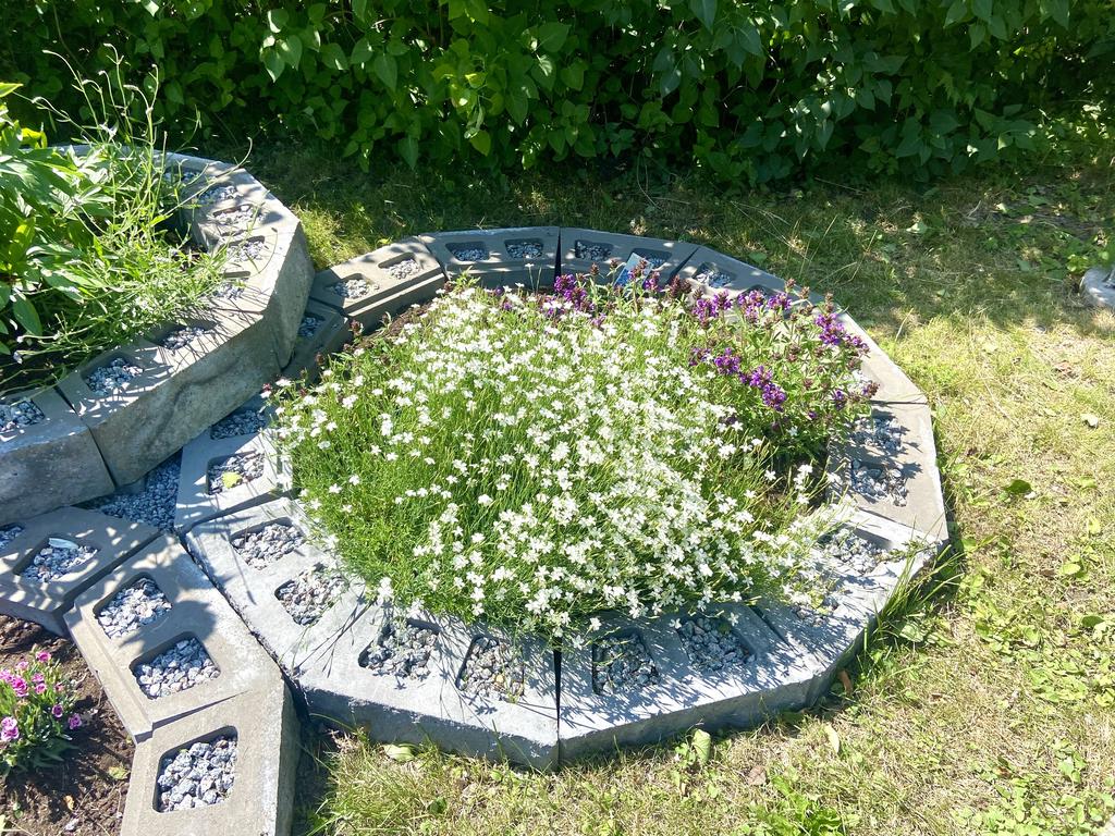 Trädgårdsbild