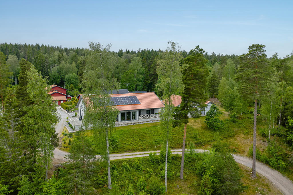 Lummig grönska