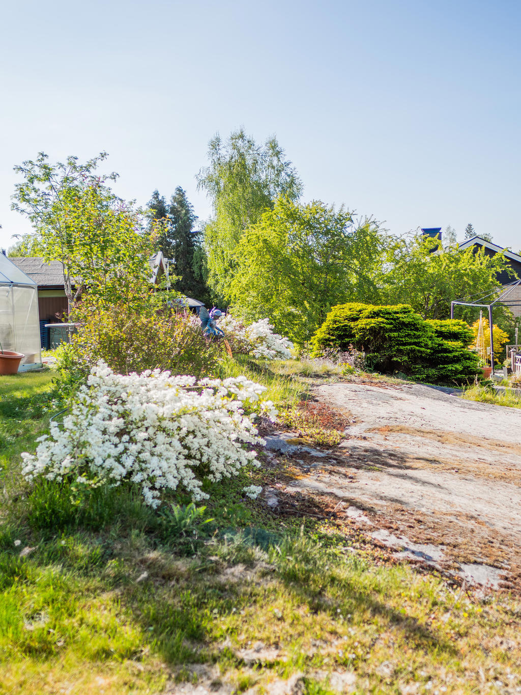 Trädgård