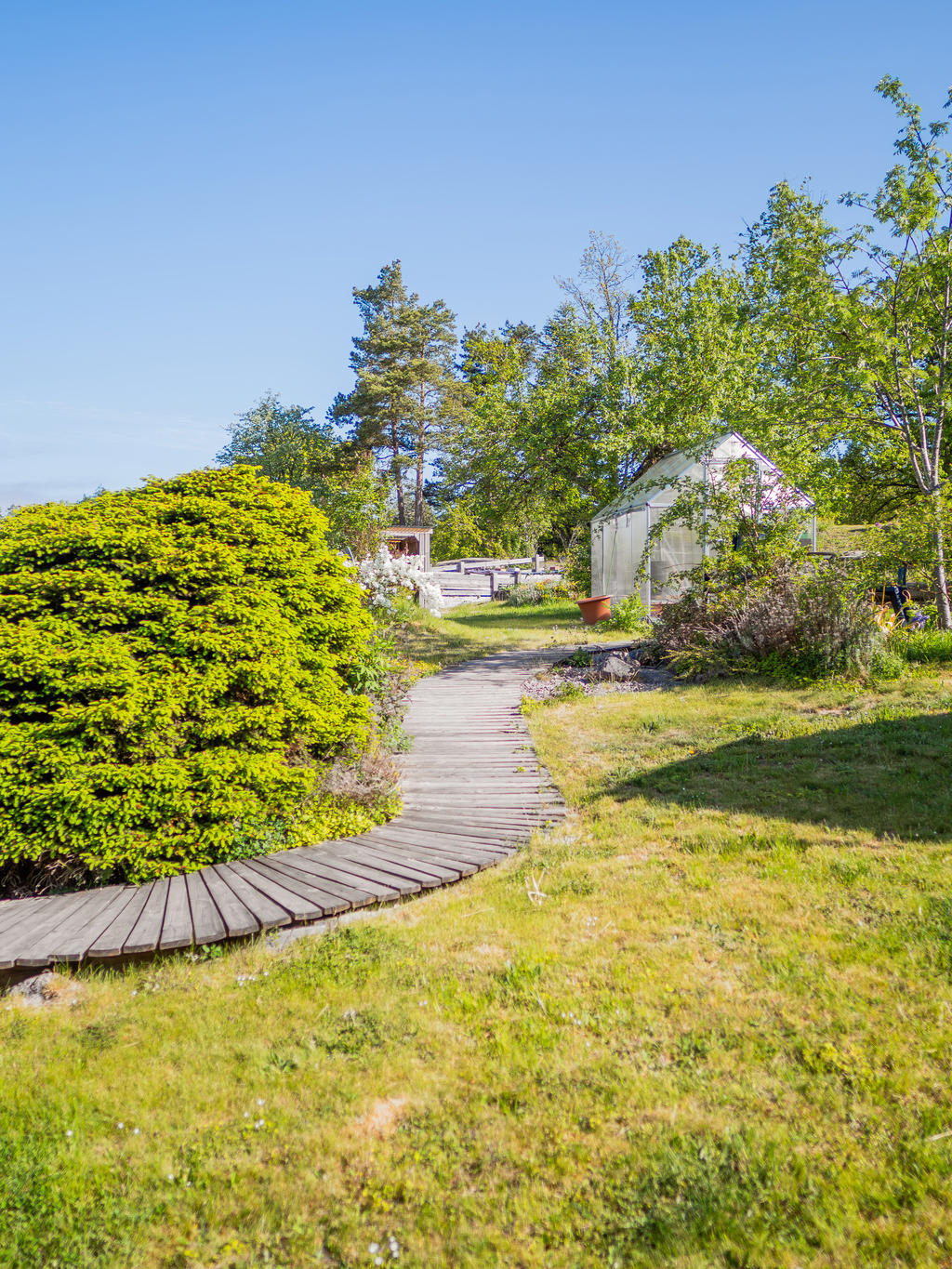 Trädgård med växthus