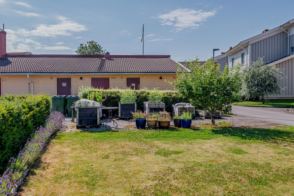 Föreningens odlingslådor och gemensamhetslokal