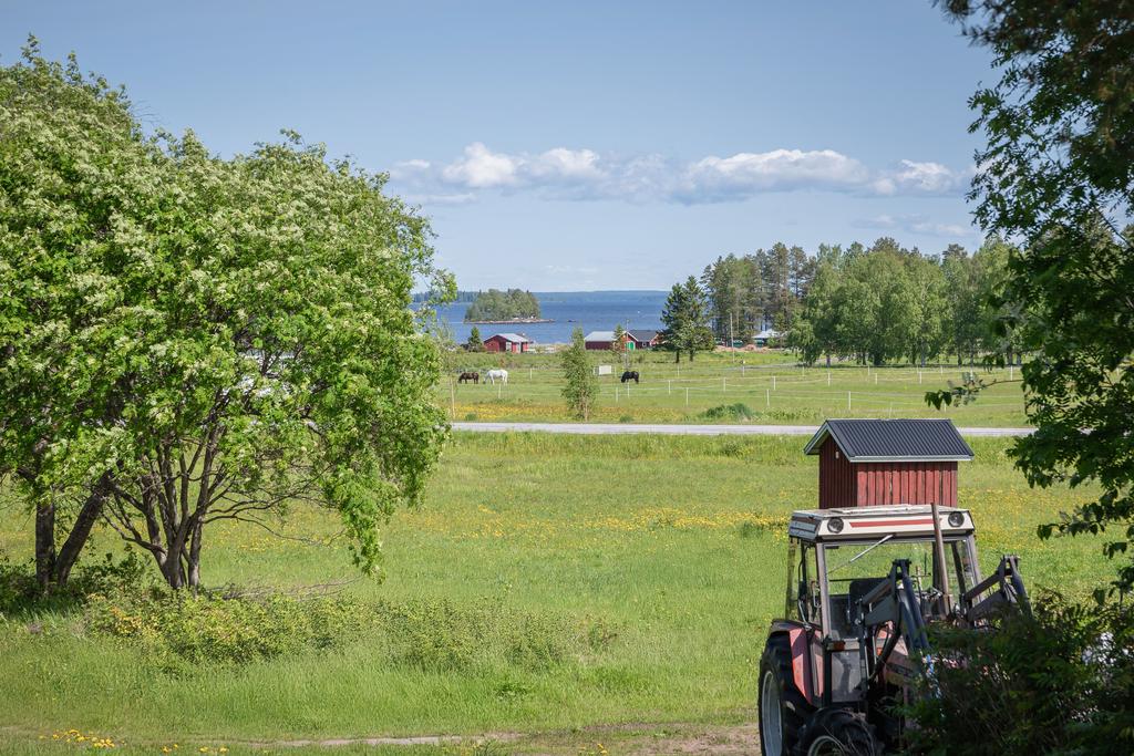 Utsikt från baksidan av villan mot ängarna och vattnet