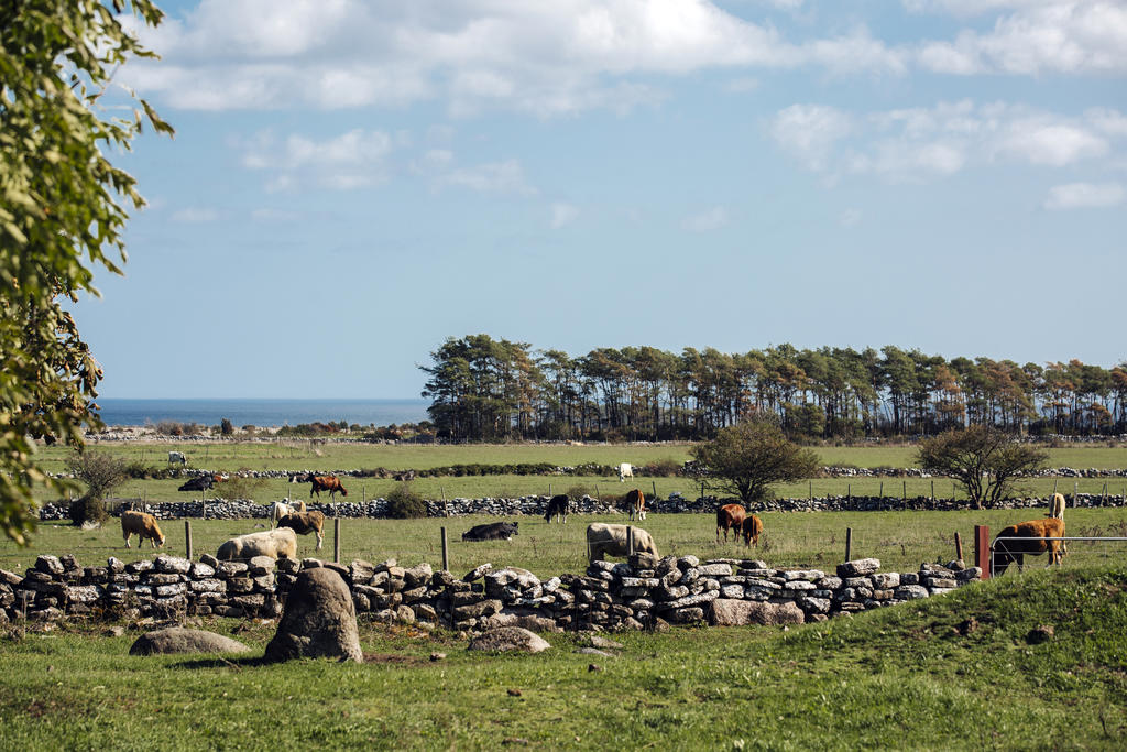 Härlig natur