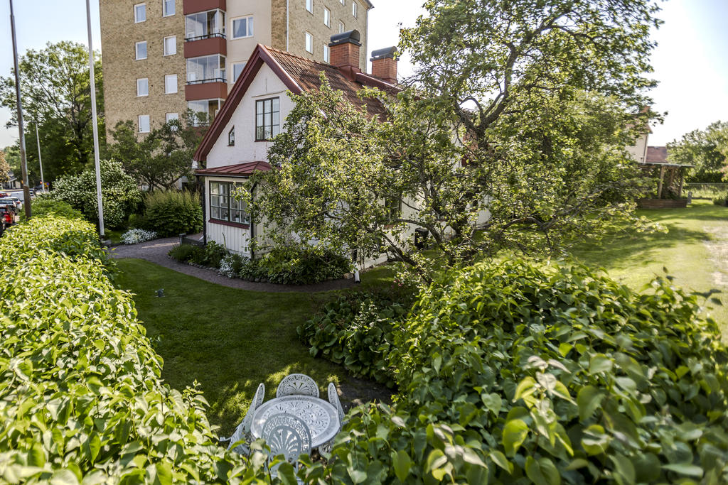 Lummig plats med äppelträd
