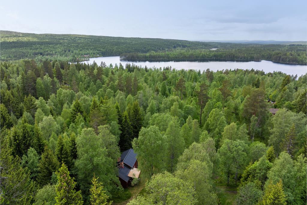Kort promenad genom skogen till badet